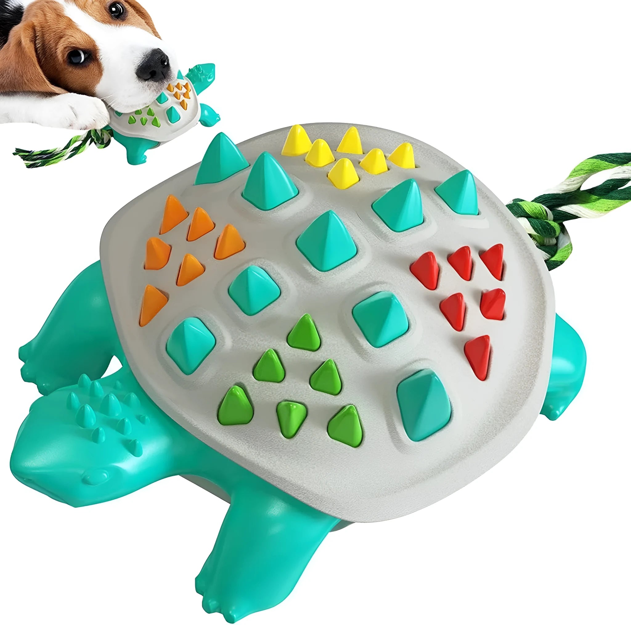 Natural rubber dog toothbrush chew toy with mint flavour and tug-of-war knot tail in assorted colours