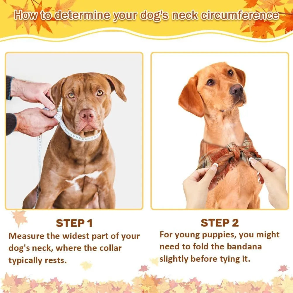 Classic plaid dog bandana with tassels edges in autumn colours