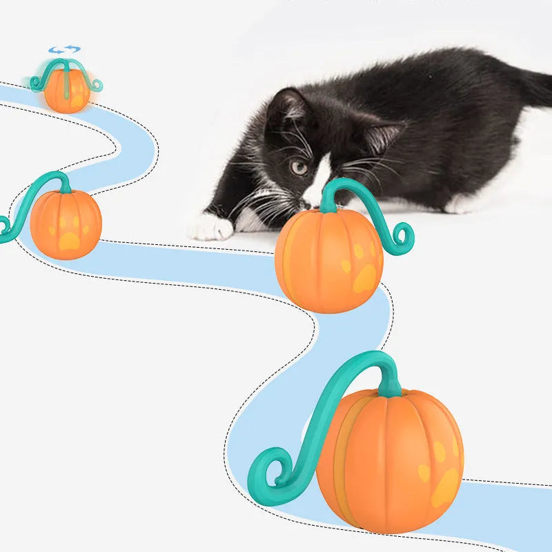 Electric cat teasing ball with LED lights in watermelon and pumpkin colour designs on wooden floor