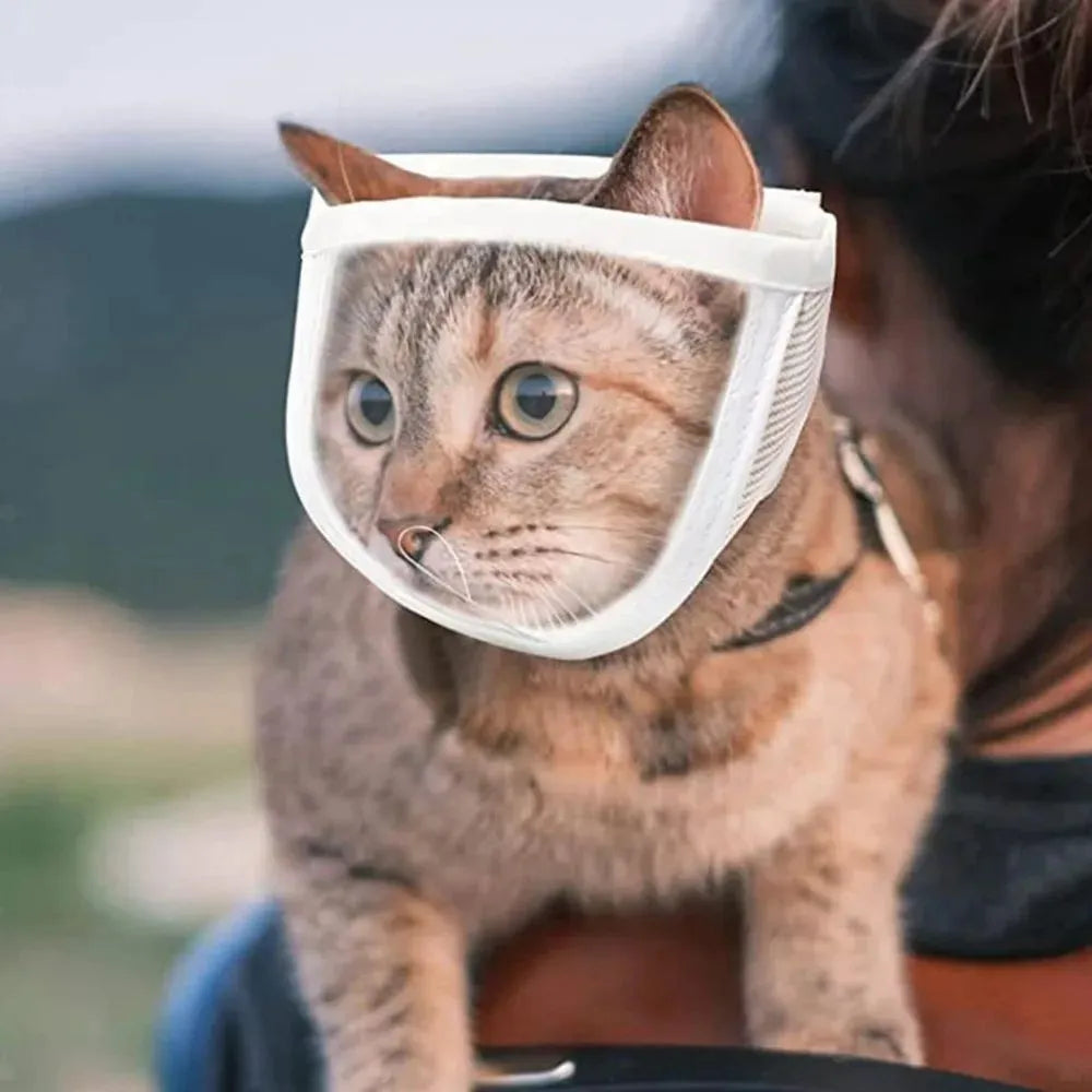 Clear cotton and PVC cat anti-bite muzzle for grooming with size options S and M