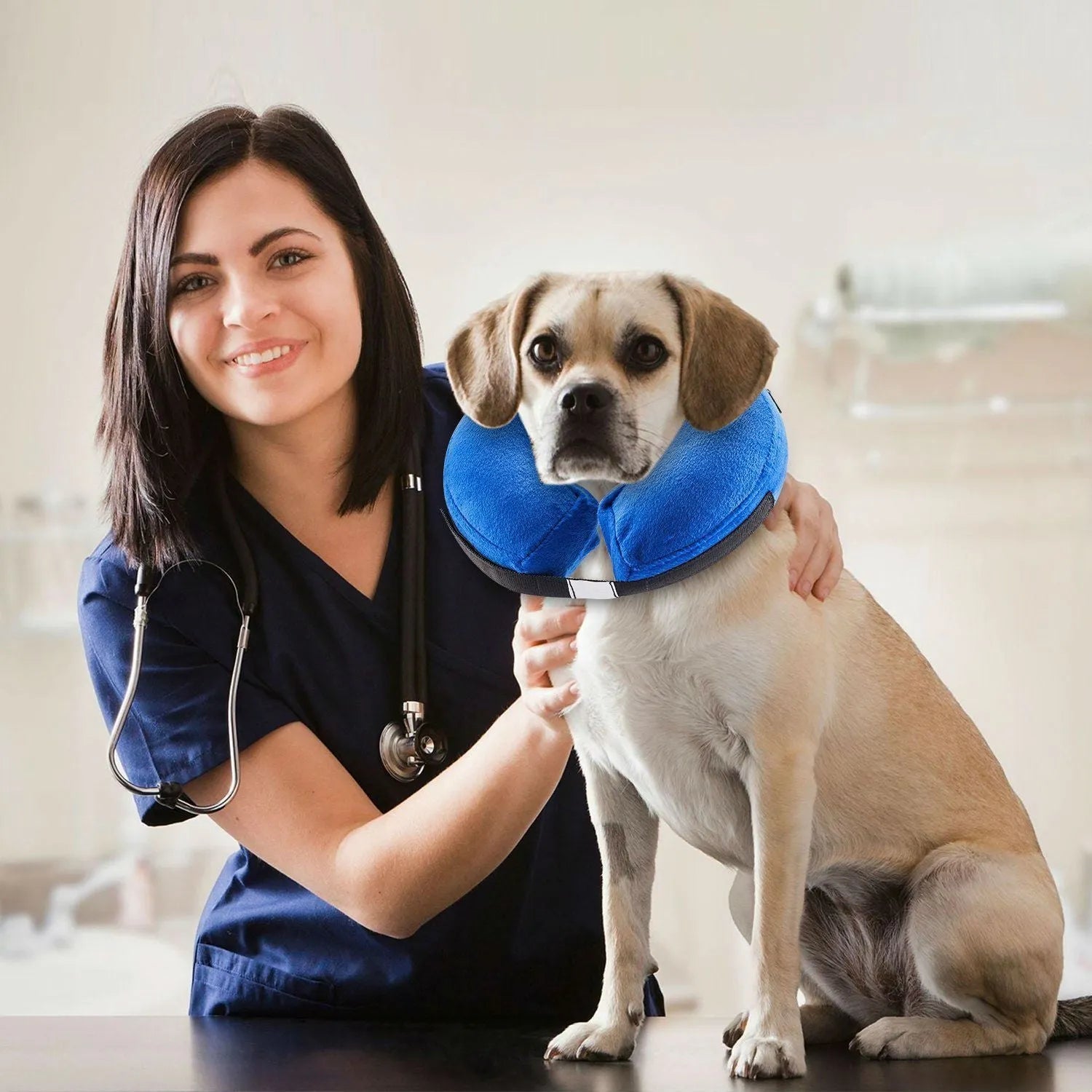 Protective inflatable collar for dogs and cats in blue, cloth and PVC construction, size S to XL