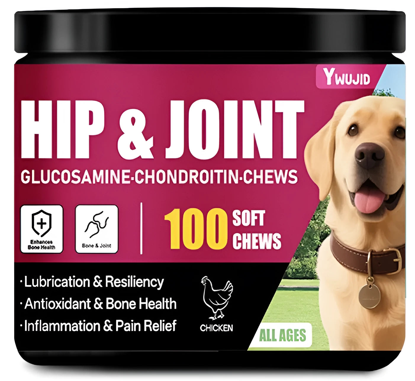 300g can of chondroitin chewable soft granules dog joint supplement