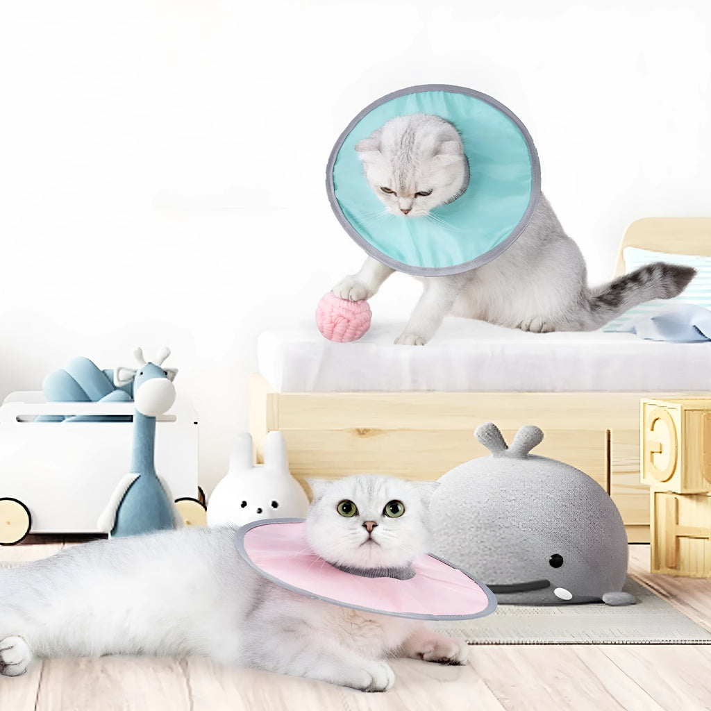 Polyester cloth circle cat collar in light blue, pink, or fruit-green, sizes M L XL, 36g to 44g