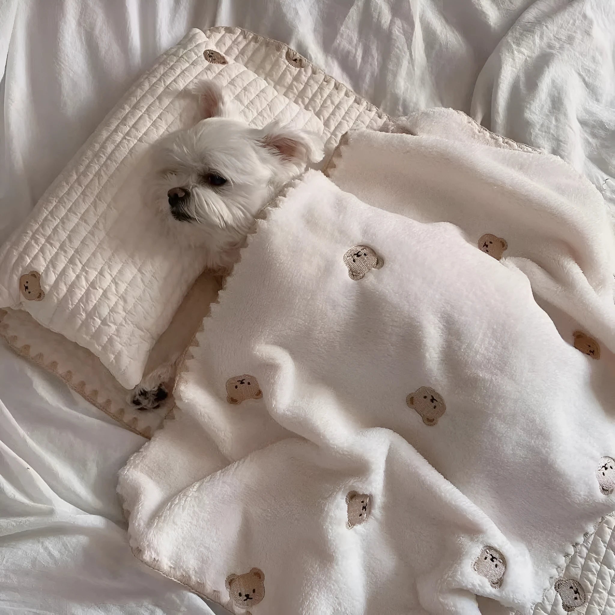 Bear-patterned dog bed set with pillow, mattress, and quilt components in removable washable design