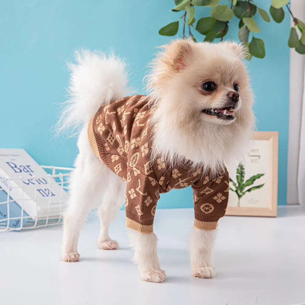 A dog wearing a thick wool sweater in a monochrome colour, styled in a European American design.