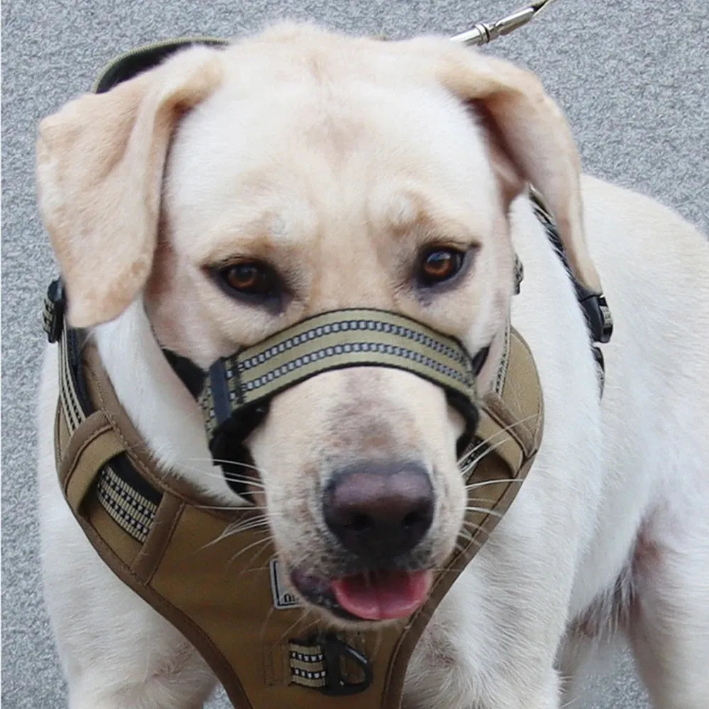 Adjustable reflective dog muzzle for medium large breeds in multiple colour options