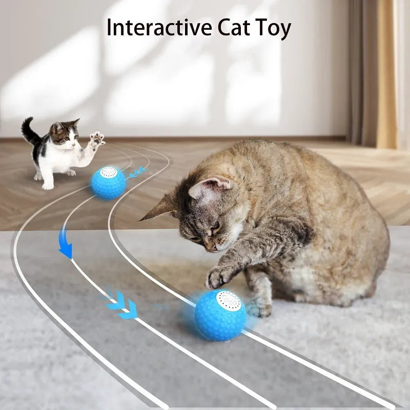 Remote control cat toy ball in blue, green and yellow colours with rolling motion and sound features