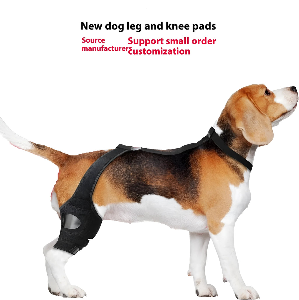 Dog hind leg knee brace assist strap in neoprene with adjustable straps for joint support