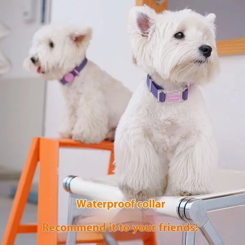 Nylon dog collar and matching lead set in rose pink colour on a grey background.