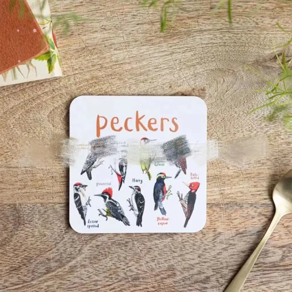Square bird pun coasters, PVC drink mats 10x10x0.35 cm, 6 or 12 piece set with bird charts.