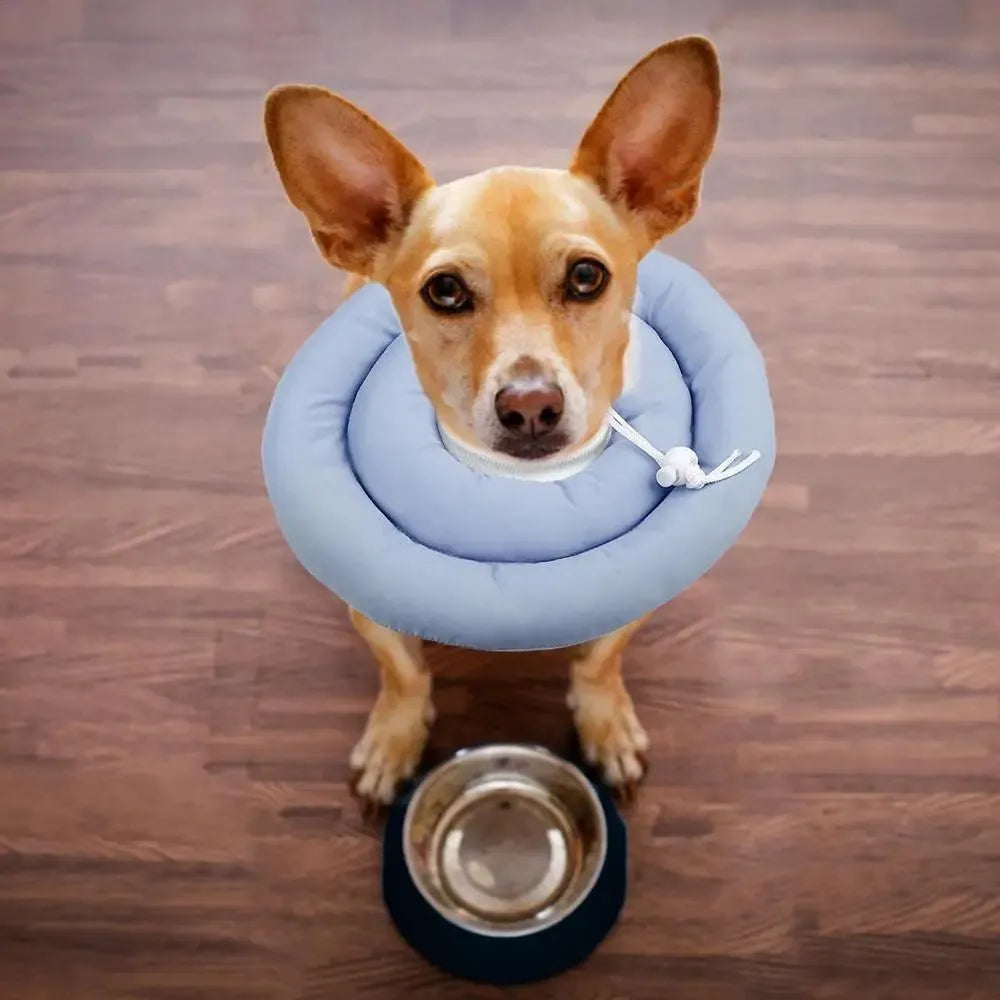 Blue adjustable Elizabethan recovery collar for a dog or cat on a white background