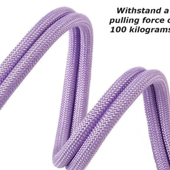 Nylon dog traction leash with a black foam handle on a coloured rope.