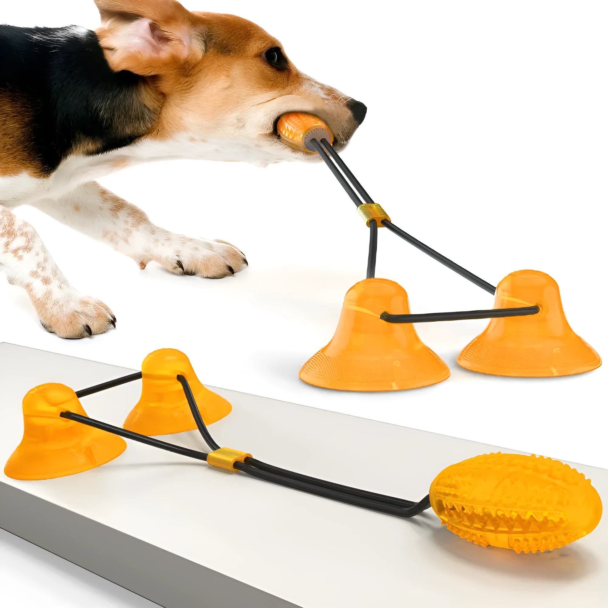 Yellow dog rubber toy set with suction cup for dental calculus removal
