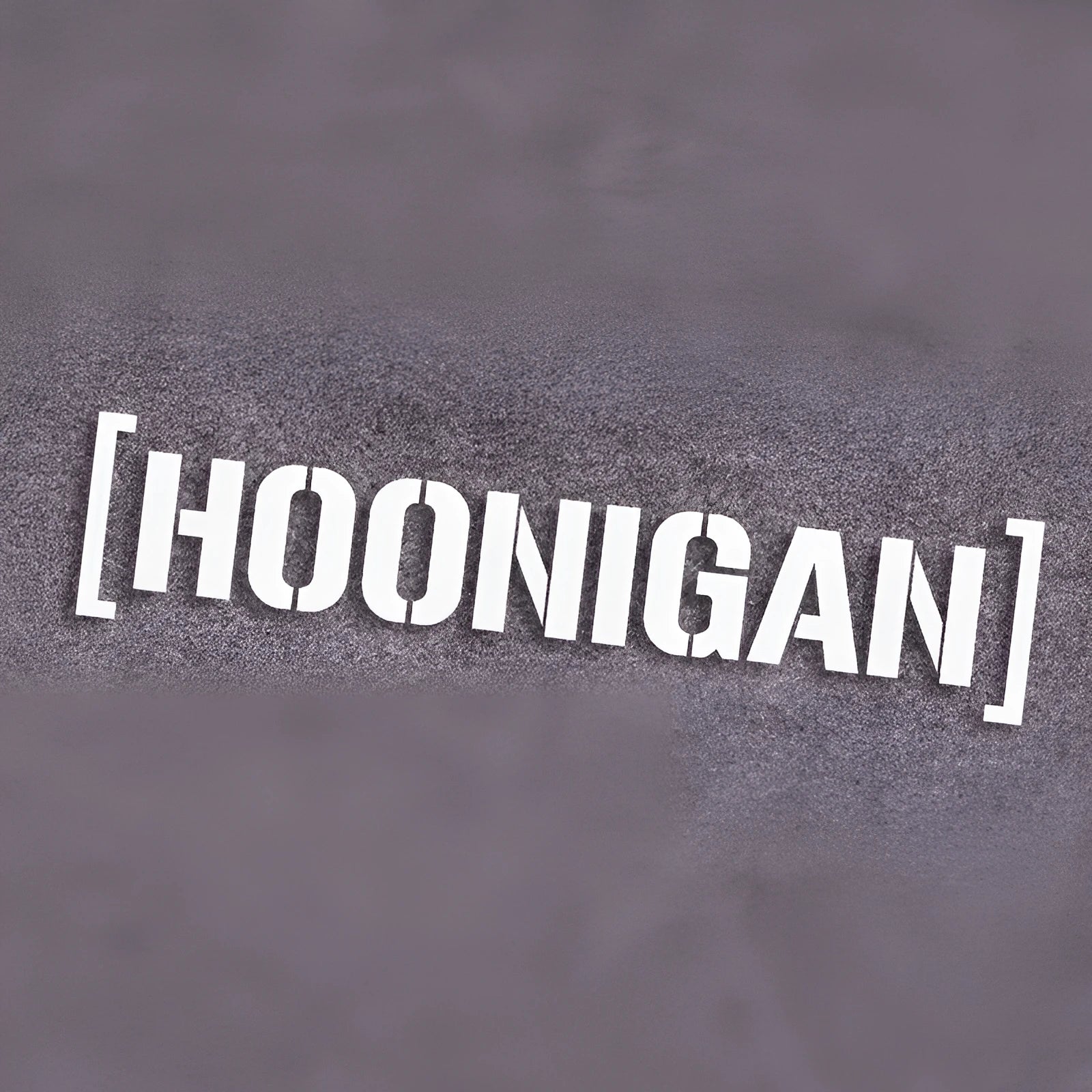 HOONIGAN white drift car modification decal sticker on vehicle, multiple sizes available