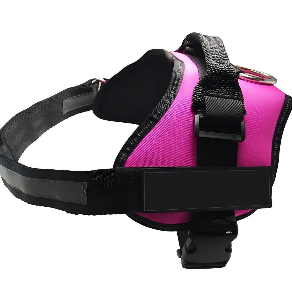 Reflective nylon dog chest harness with stainless steel ring and adjustable straps in blue colour