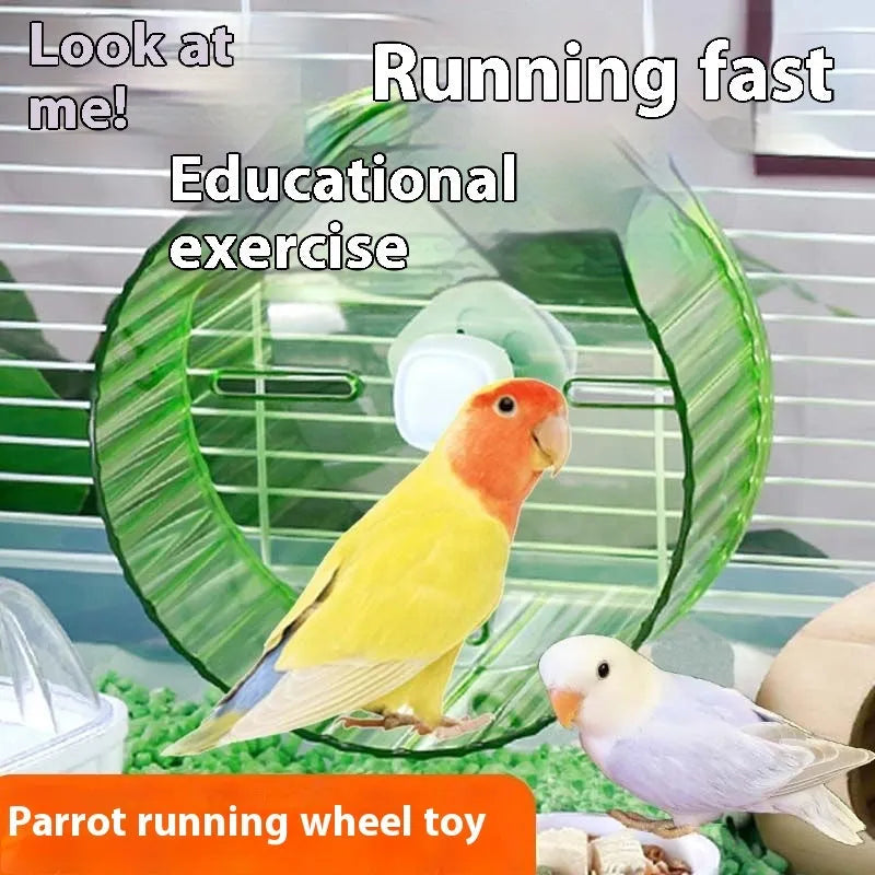 A transparent plastic bird running wheel toy mounted on green cage bars.