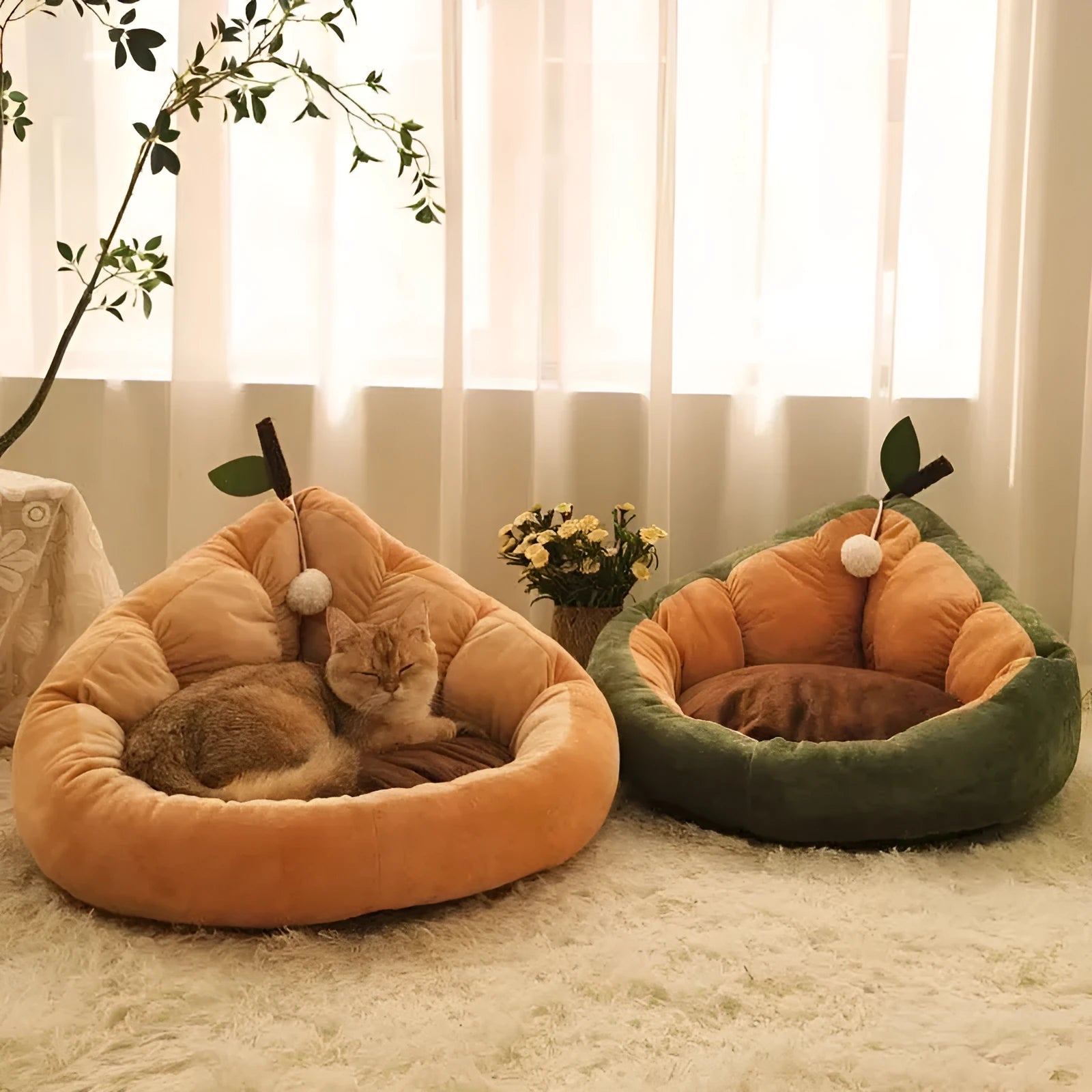 Soft cotton pet bed for cats and dogs in green colour, showing removable cover and padded interior.
