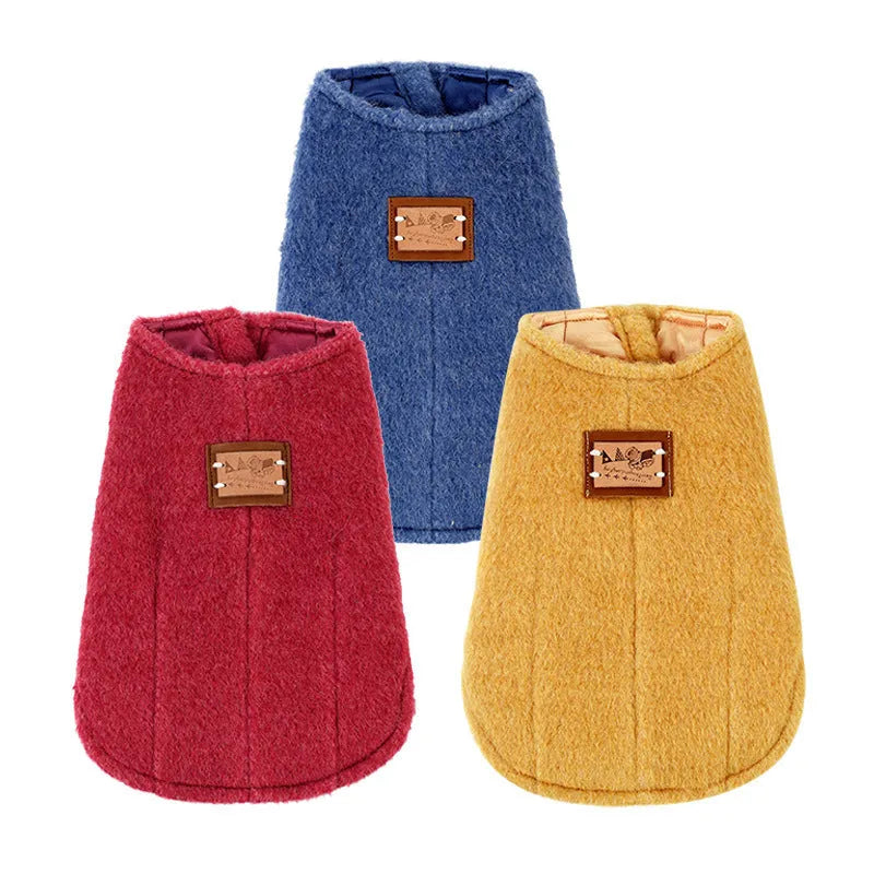 A small dog wearing a blue cotton Korean cashmere vest, a type of casual autumn and winter pet clothing.