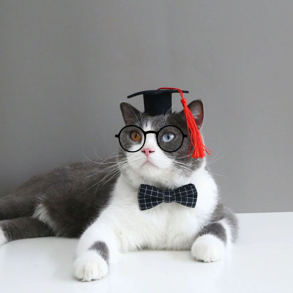 British style wool felt pet hair band and bow tie set in four colours for weddings and carnivals