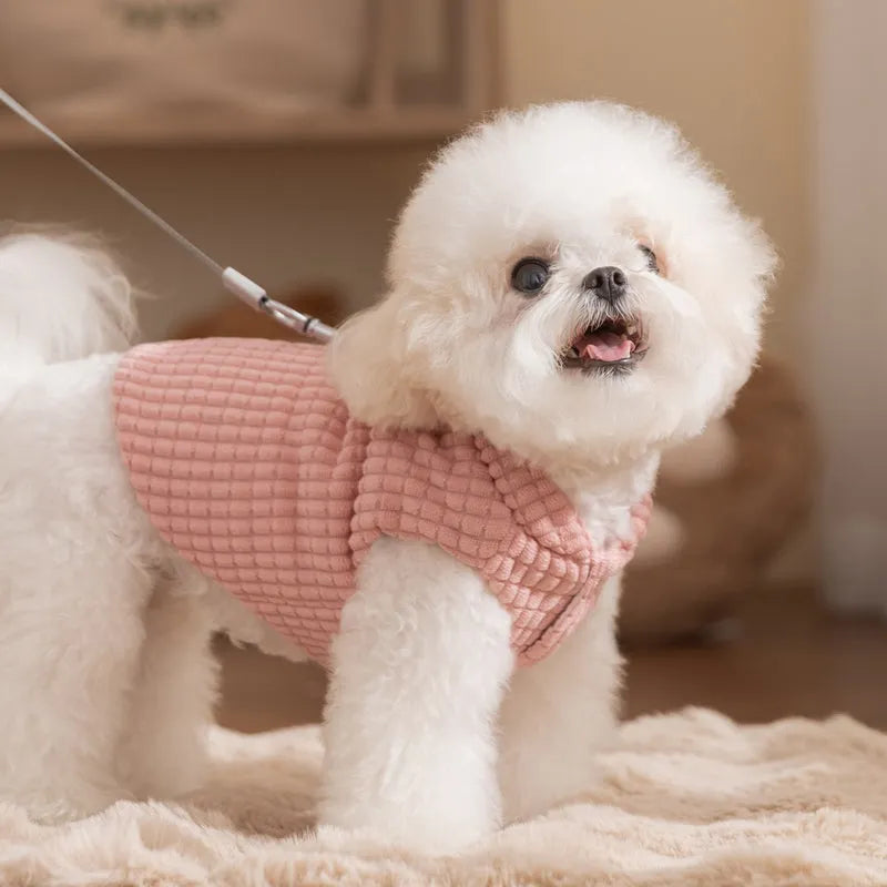 Pink ribbed corduroy dog vest with metal leash ring and bear emblem tag, sizes XS to XXL.