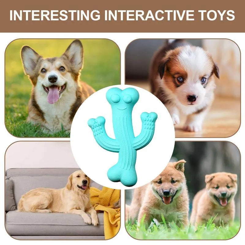 Cactus-shaped dog chew toy in beige, blue, or purple colour, shown in small and large sizes.