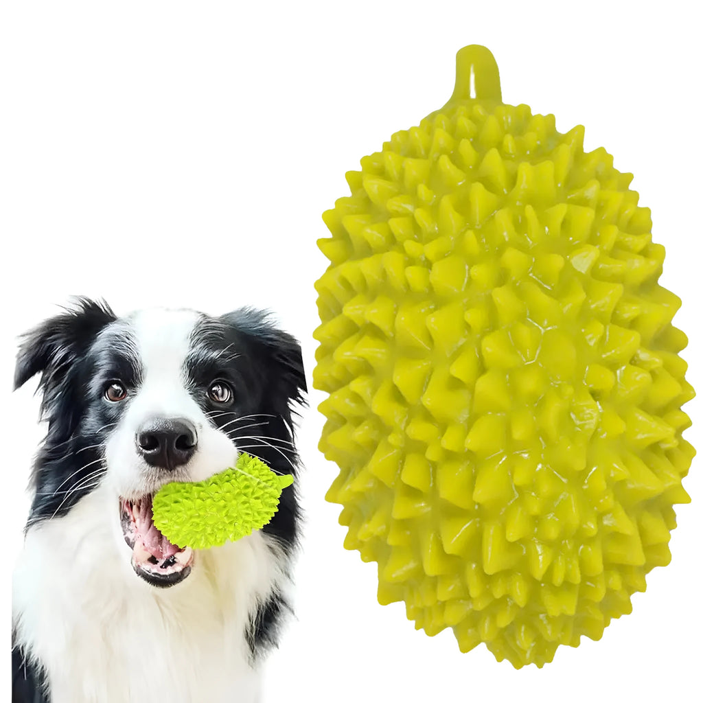 Durian-shaped dog chew toy in bright colours with teeth-cleaning ridges and squeaker ball