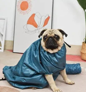 Blue automatic dog drying bag with quick drying hair dryer function, Oxford cloth and silver-plated film, sizes S to XXL.