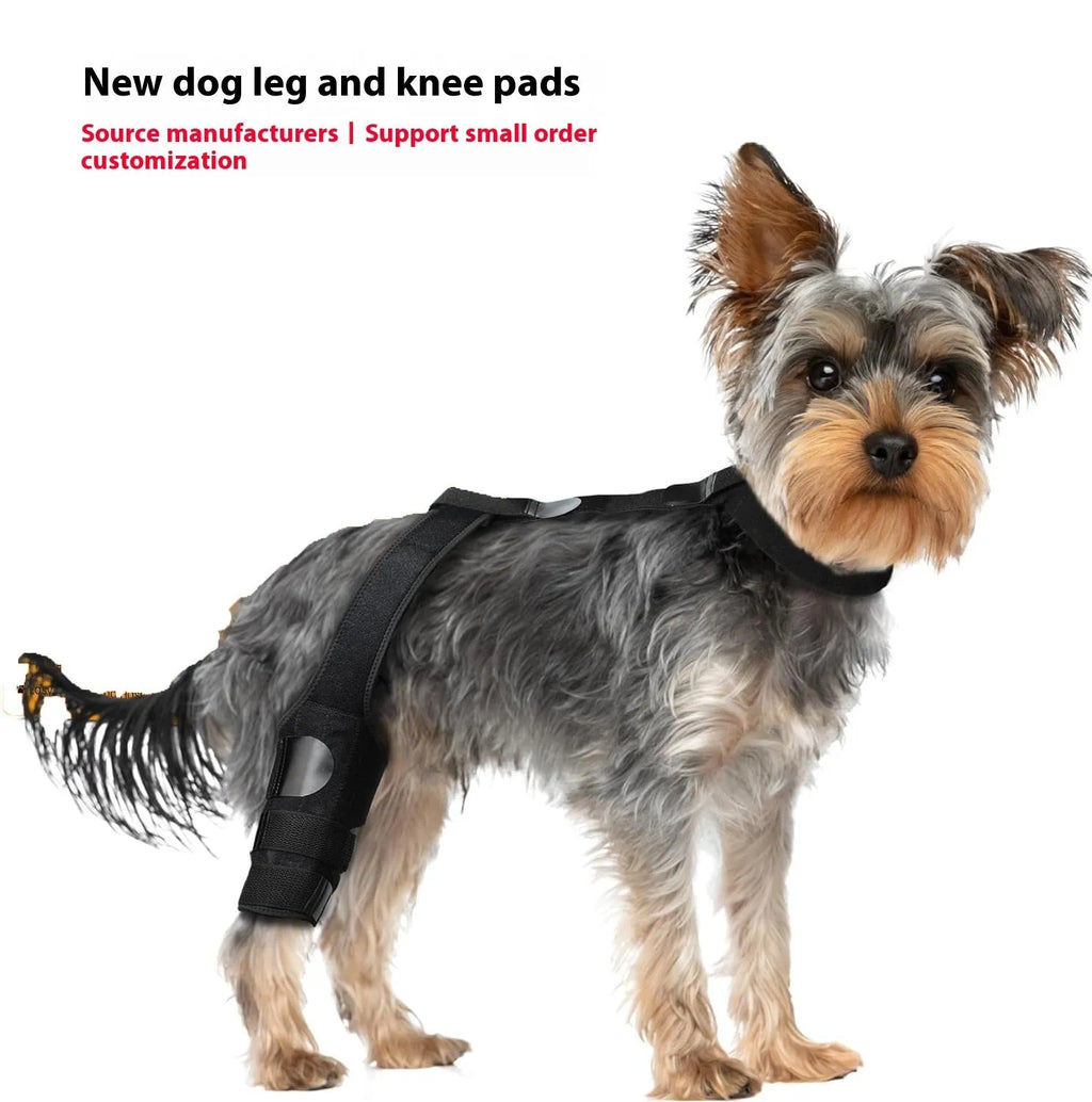 Dog hind leg knee brace assist strap in neoprene with adjustable straps for joint support
