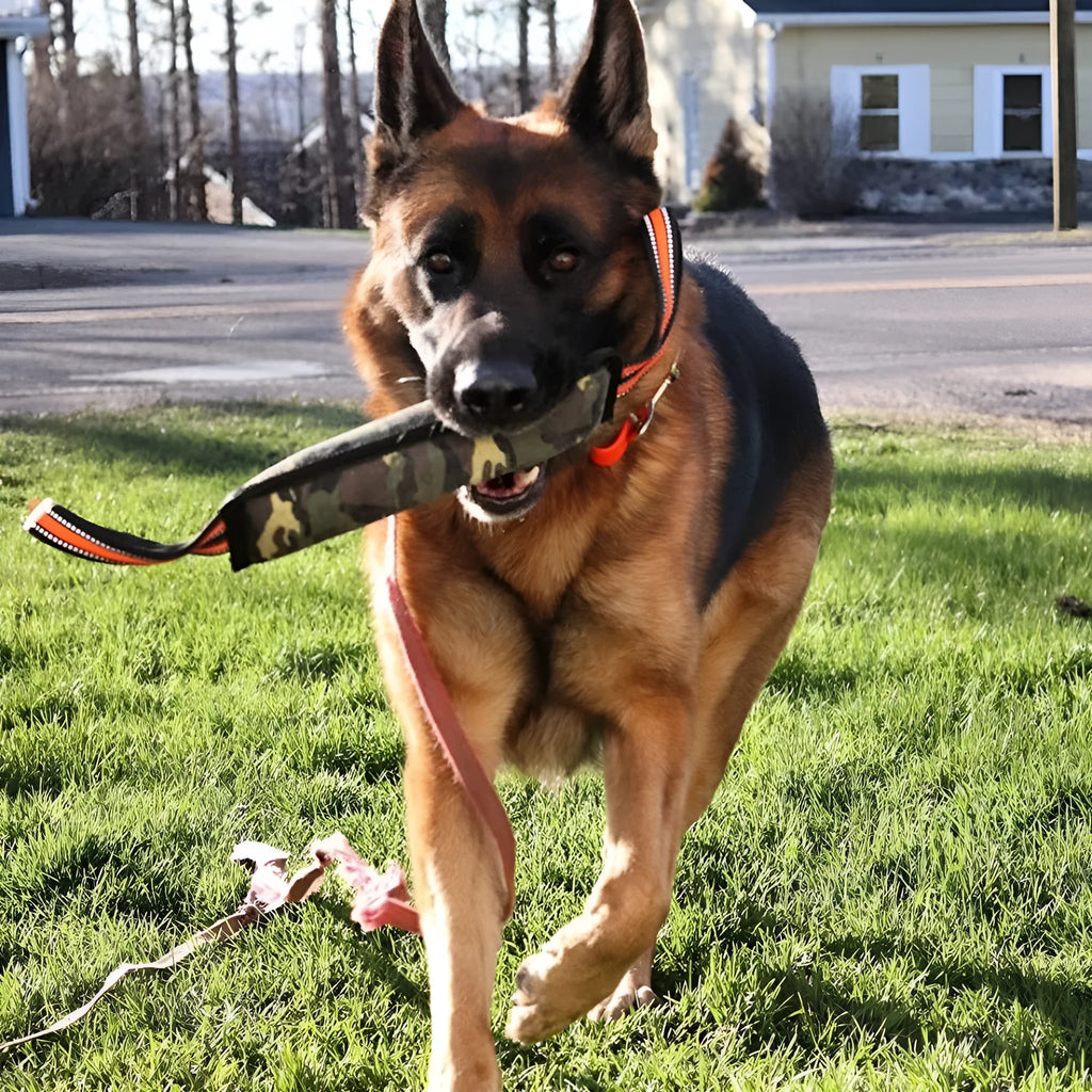 Long jute dog bite stick with reflective yellow edges on a grey background.