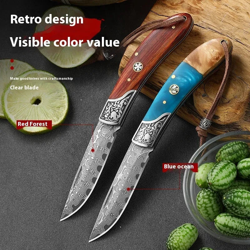 VG10 stainless steel folding pocket knife in Blue Ocean and Red Forest colours