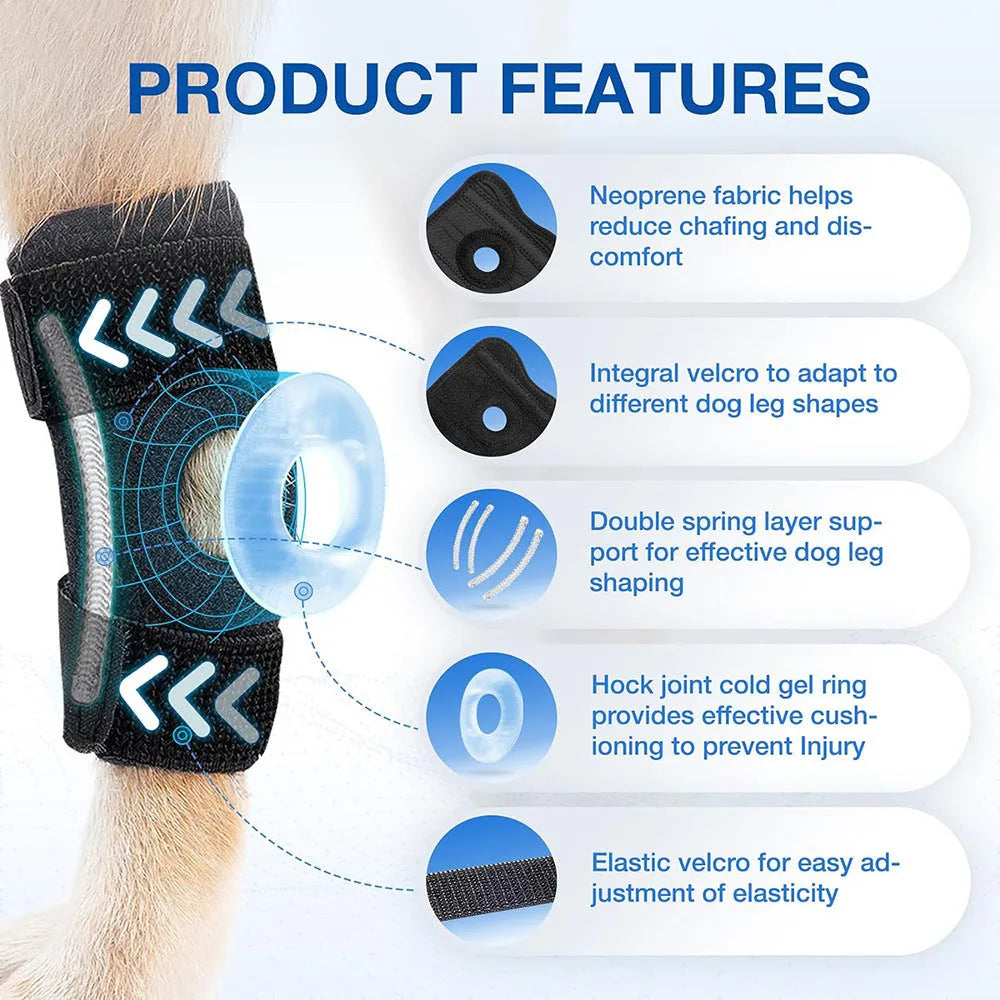 Black dog rear leg auxiliary strap made of neoprene with Velcro fastening shown on a flat surface