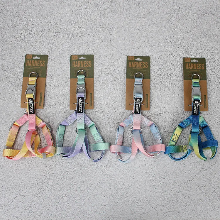 Gradient colour nylon dog leash and collar set showing blended pink, blue, yellow, purple, and green hues