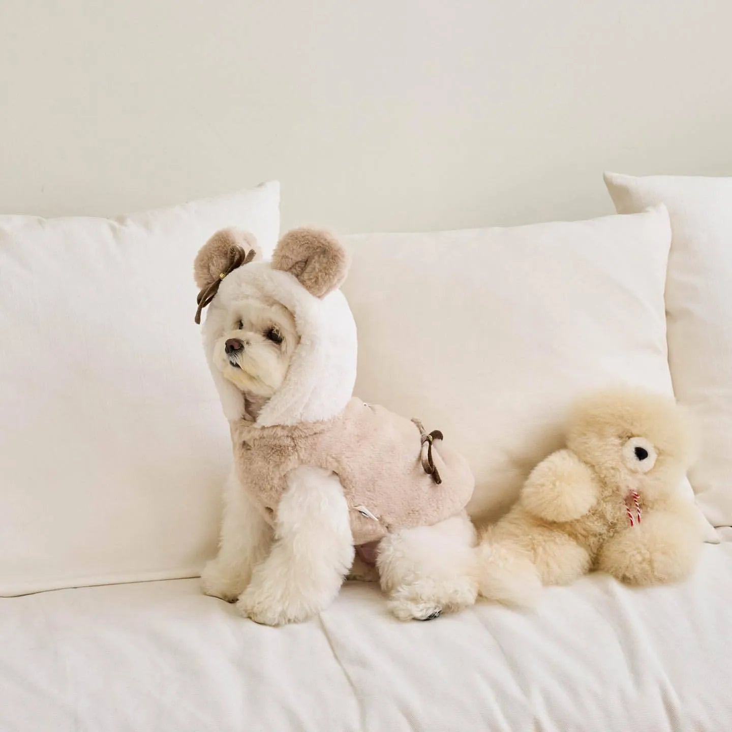 Light pink polyester dog coat shown on canine model, casual style with basic coverage design