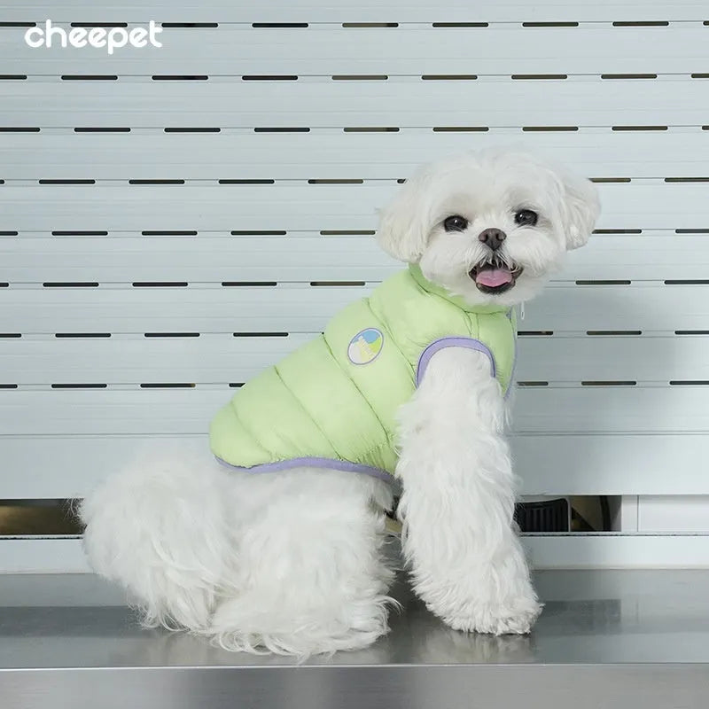 Pet cat dog autumn winter vest candy colour double-sided cotton-padded polyester clothing in green purple colour on pet