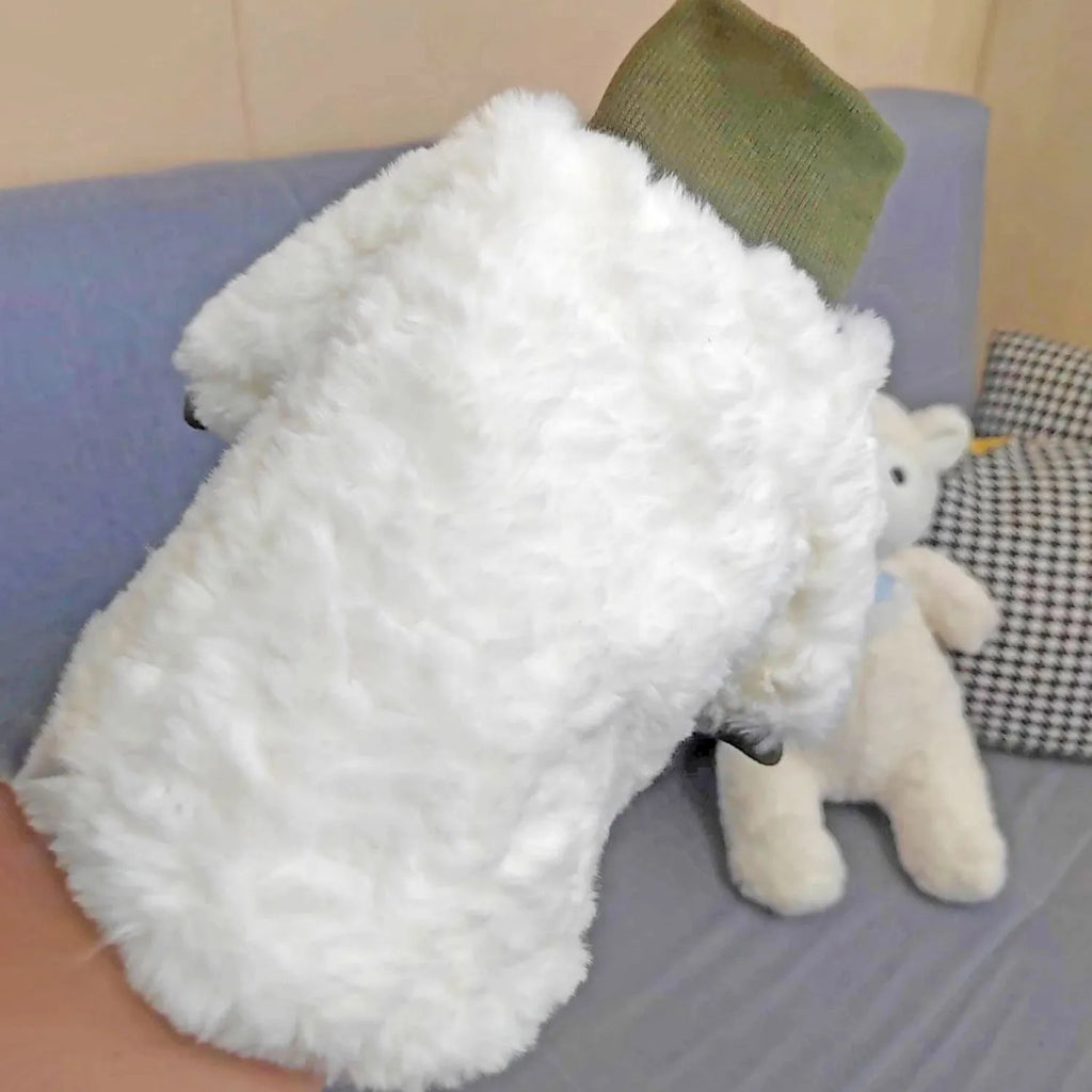 Creamy green turtleneck plush dog coat on a small dog, showing high collar design