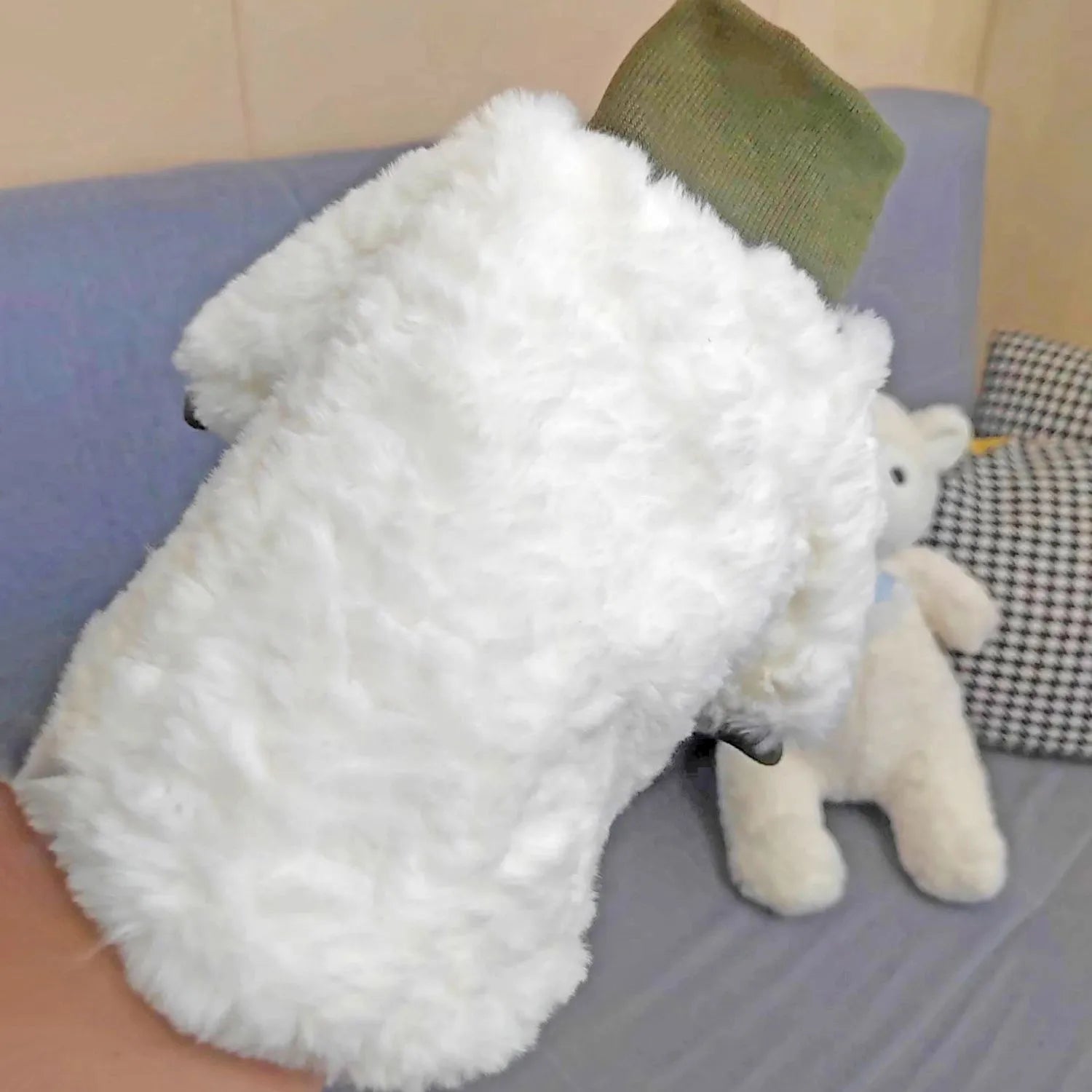 Creamy green turtleneck plush dog coat on a small dog, showing high collar design