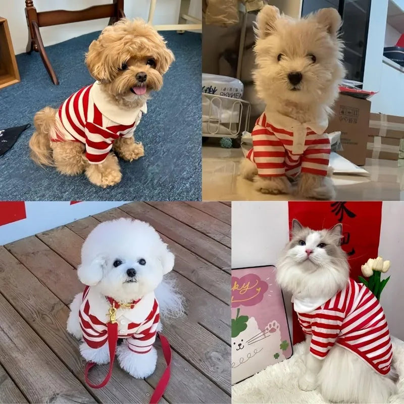 Cute dog polo shirt with striped collar for male puppy, breathable fabric, black colour