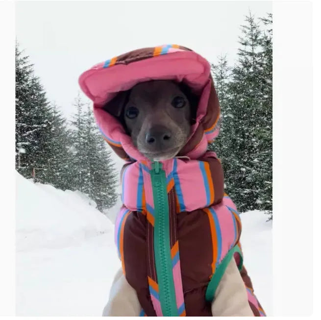 Dirty pink striped dog vest with matching hat for autumn and winter wear
