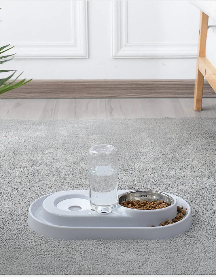 New automatic plastic pet bowl with splash-proof design and no wet mouth feature in Blove colour