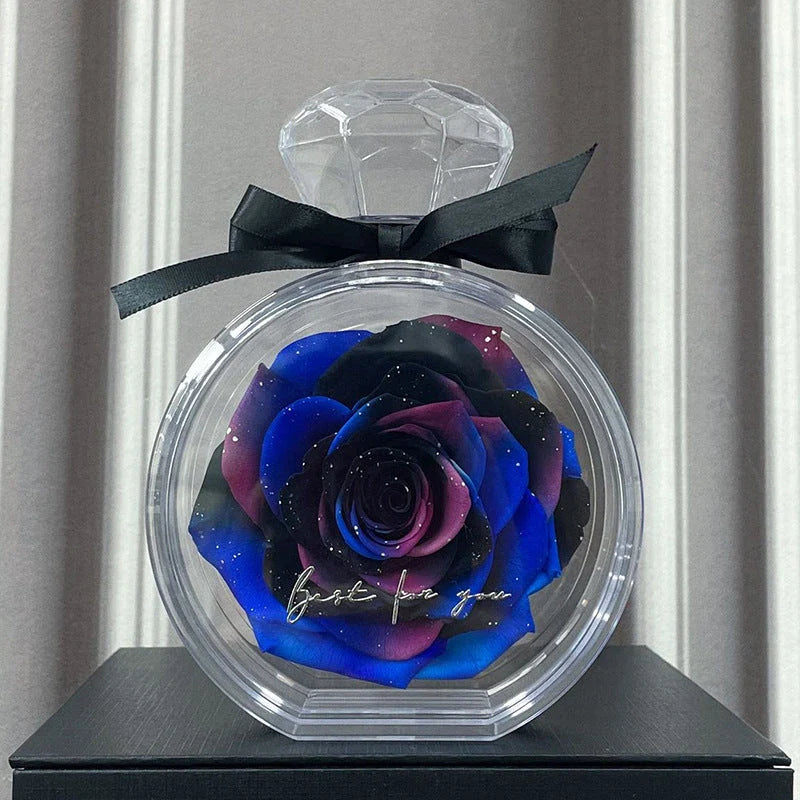 Elegant preserved dried floral ornaments in a transparent display case, available in a variety of vibrant colors