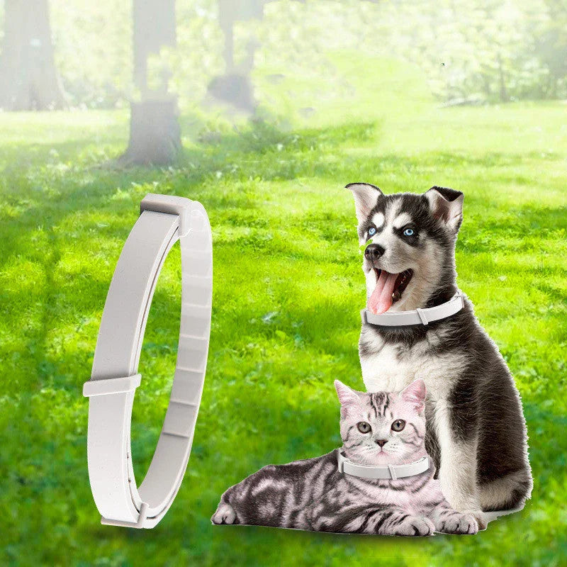 Adjustable insect repellent collar for cats and dogs, made with natural plant-based ingredients to provide up to 8 months of pest protection