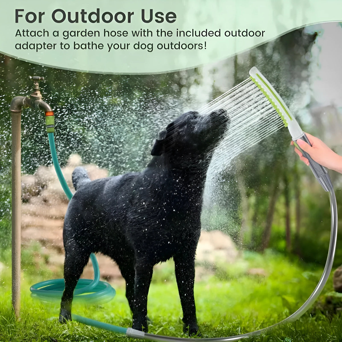 Dog bathing brush showerhead with ABS handle, shown in five colour options including green and white and blue and gray.