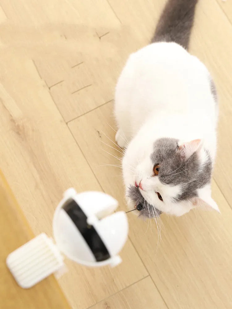 Electric automatic lifting motion cat toy with rabbit hair teaser ball and 10KG rope load-bearing, black or white