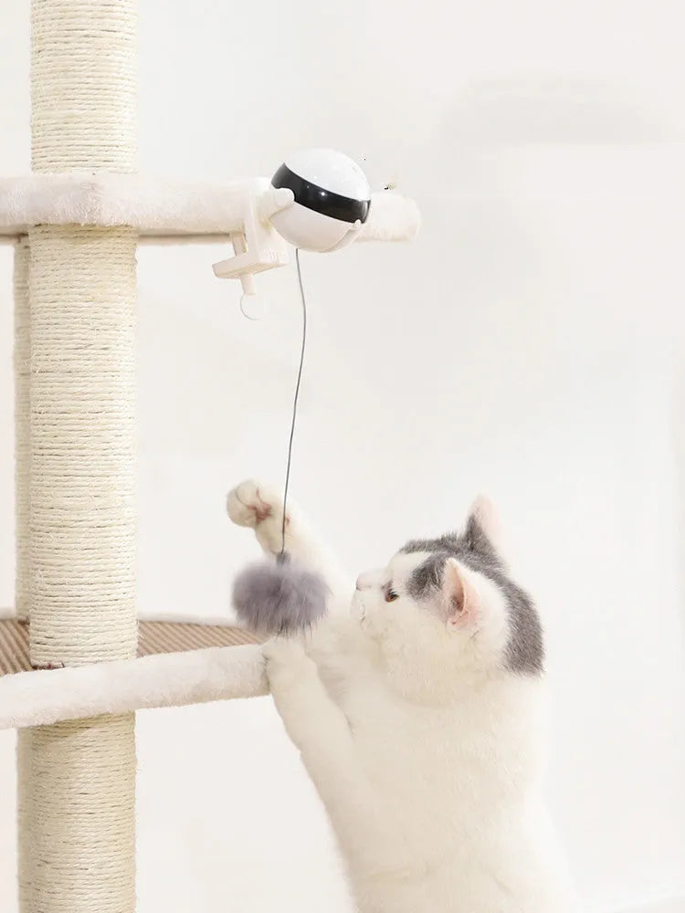 Electric automatic lifting motion cat toy with rabbit hair teaser ball and 10KG rope load-bearing, black or white