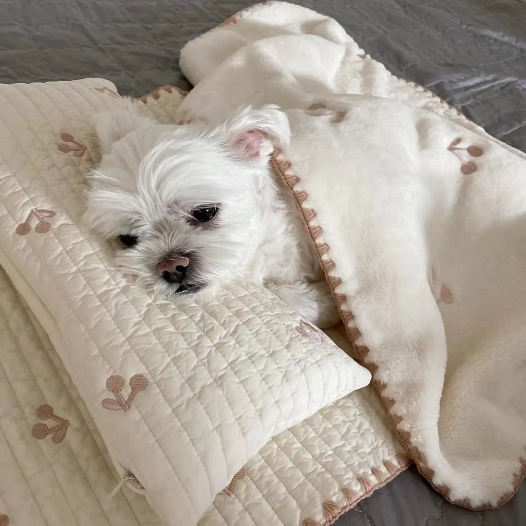 Bear-patterned dog bed set with pillow, mattress, and quilt components in removable washable design