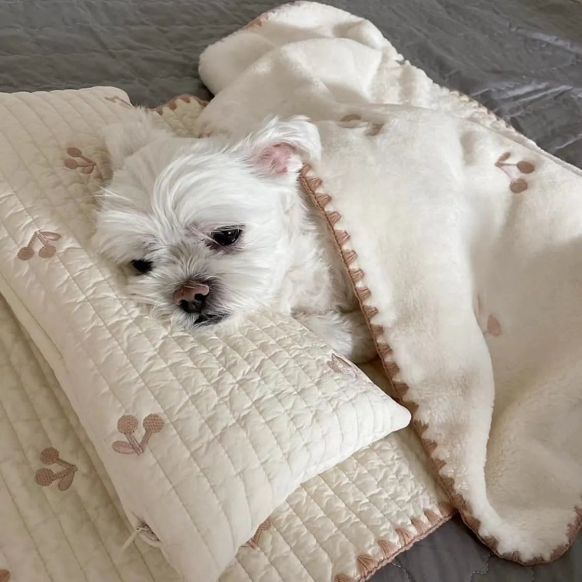 Bear-patterned dog bed set with pillow, mattress, and quilt components in removable washable design