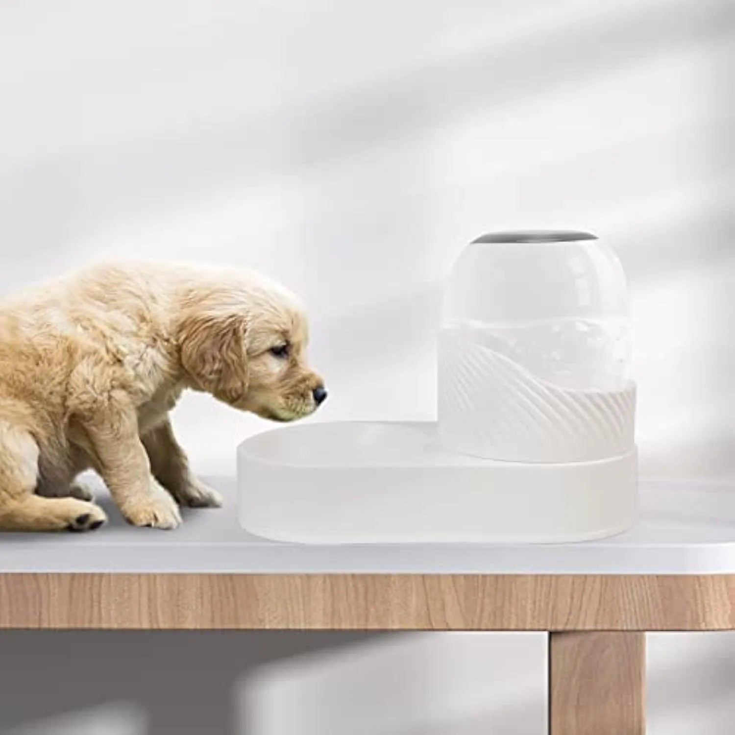 White gravity cat feeder and water dispenser set with wave design on a table.