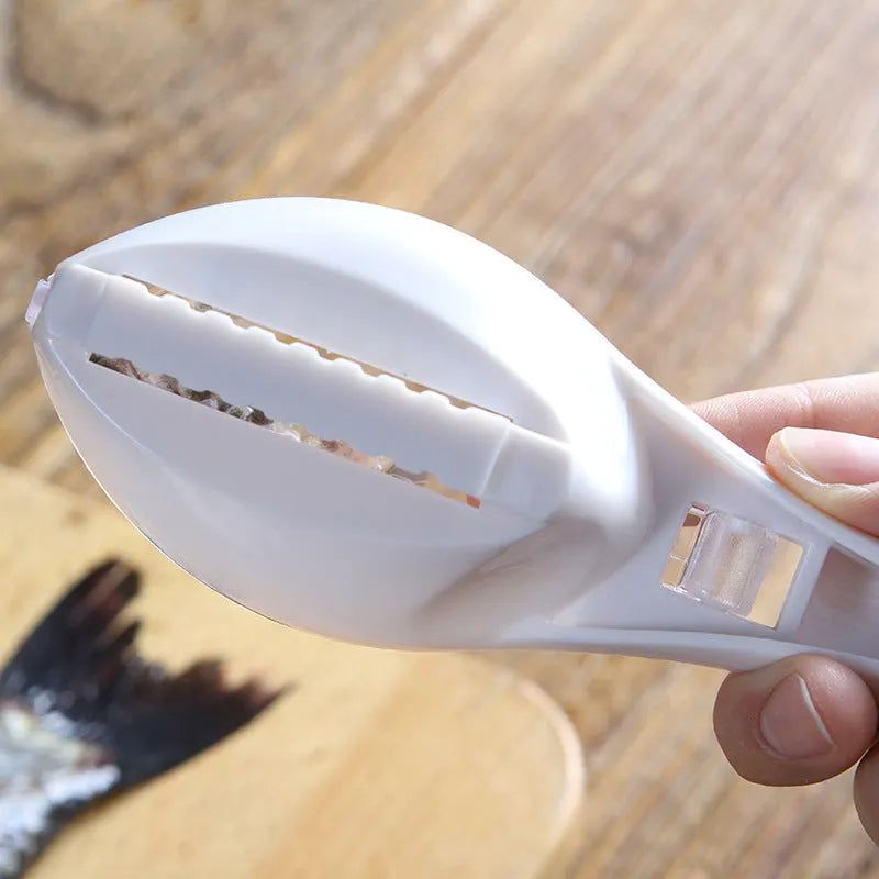 Fish-shaped scale scraper with cover in white, green, or blue colour options