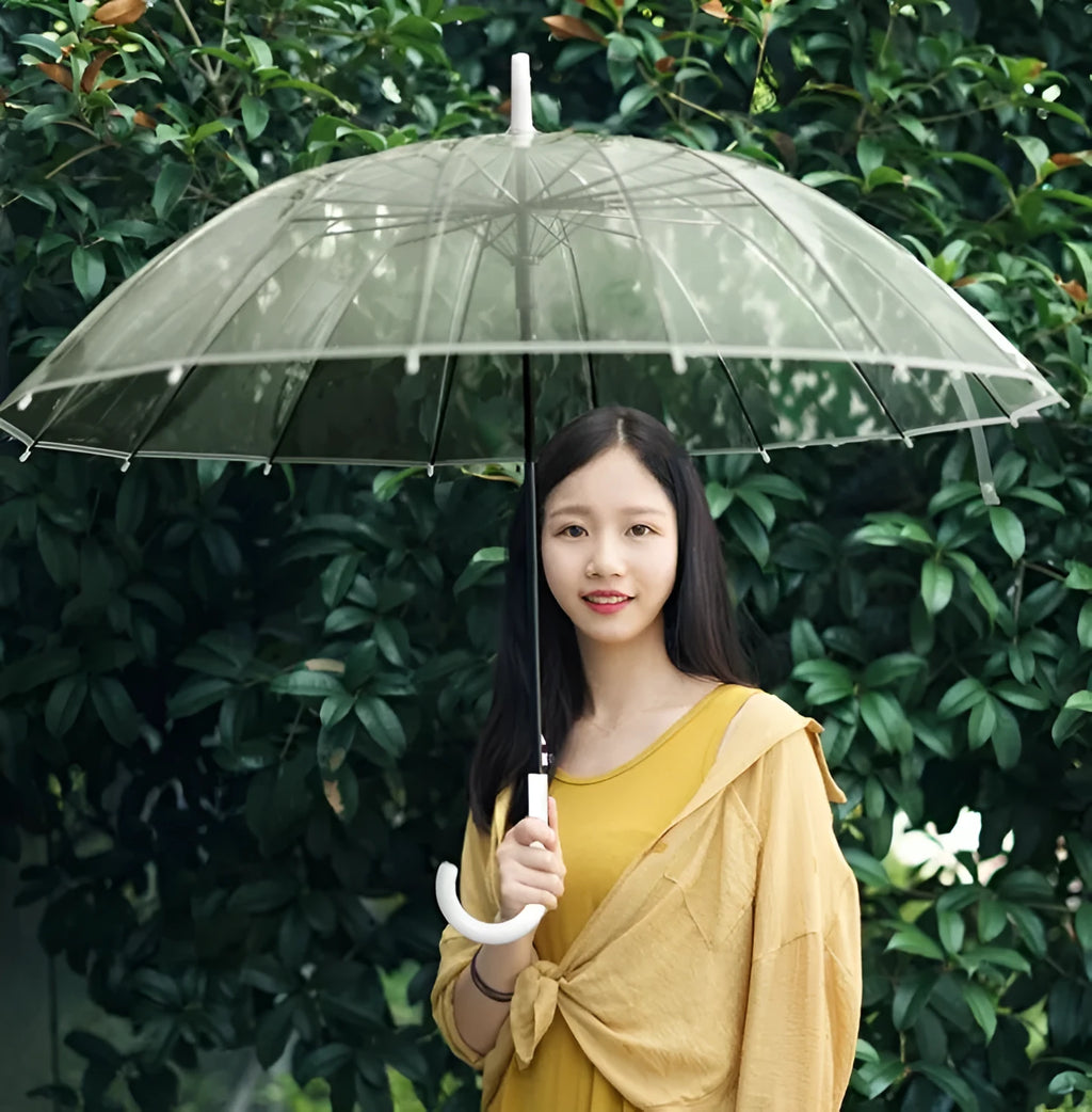 Long handle transparent umbrella with black steel frame and white canopy