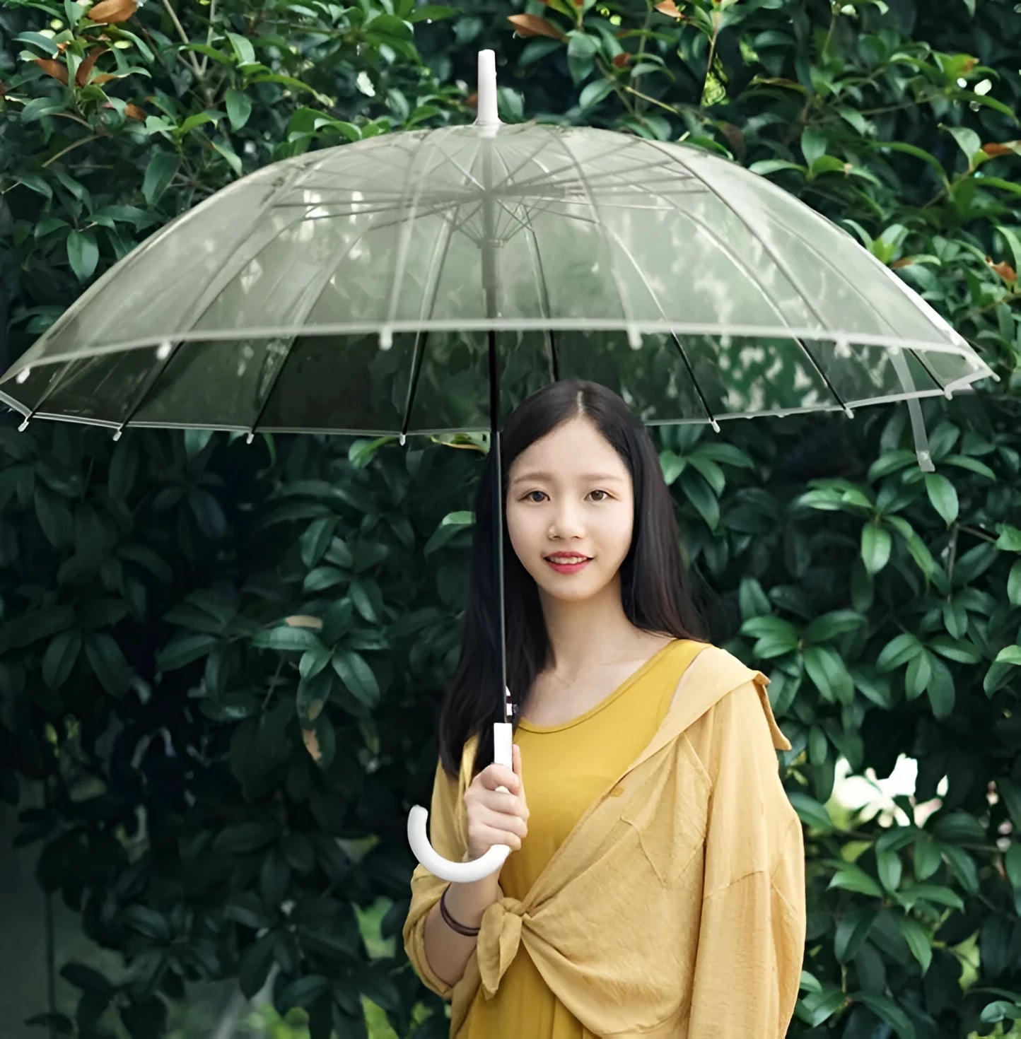 Long handle transparent umbrella with black steel frame and white canopy